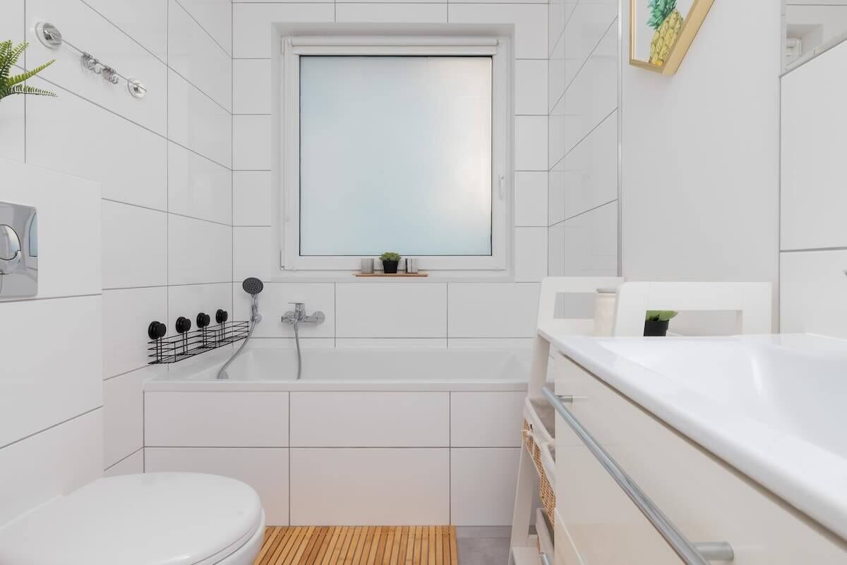 Ducha, secador de pelo, shampoo