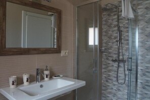 Shower, hair dryer, bidet, towels