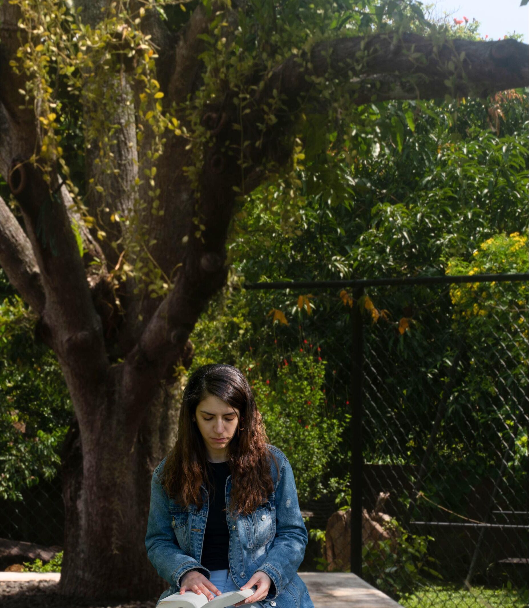 A person reading a book under a tree in a garden setting.