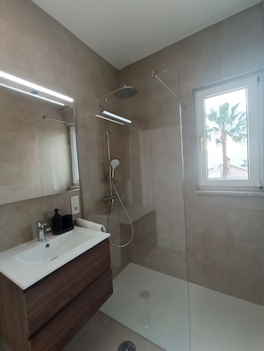 Shower, hair dryer, bidet, towels