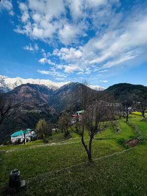 Miscellaneous - Welcome to the kingdom of berlin's Home! (Dharamshala)