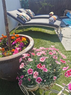 المنطقة المحيطة بالمنشأة