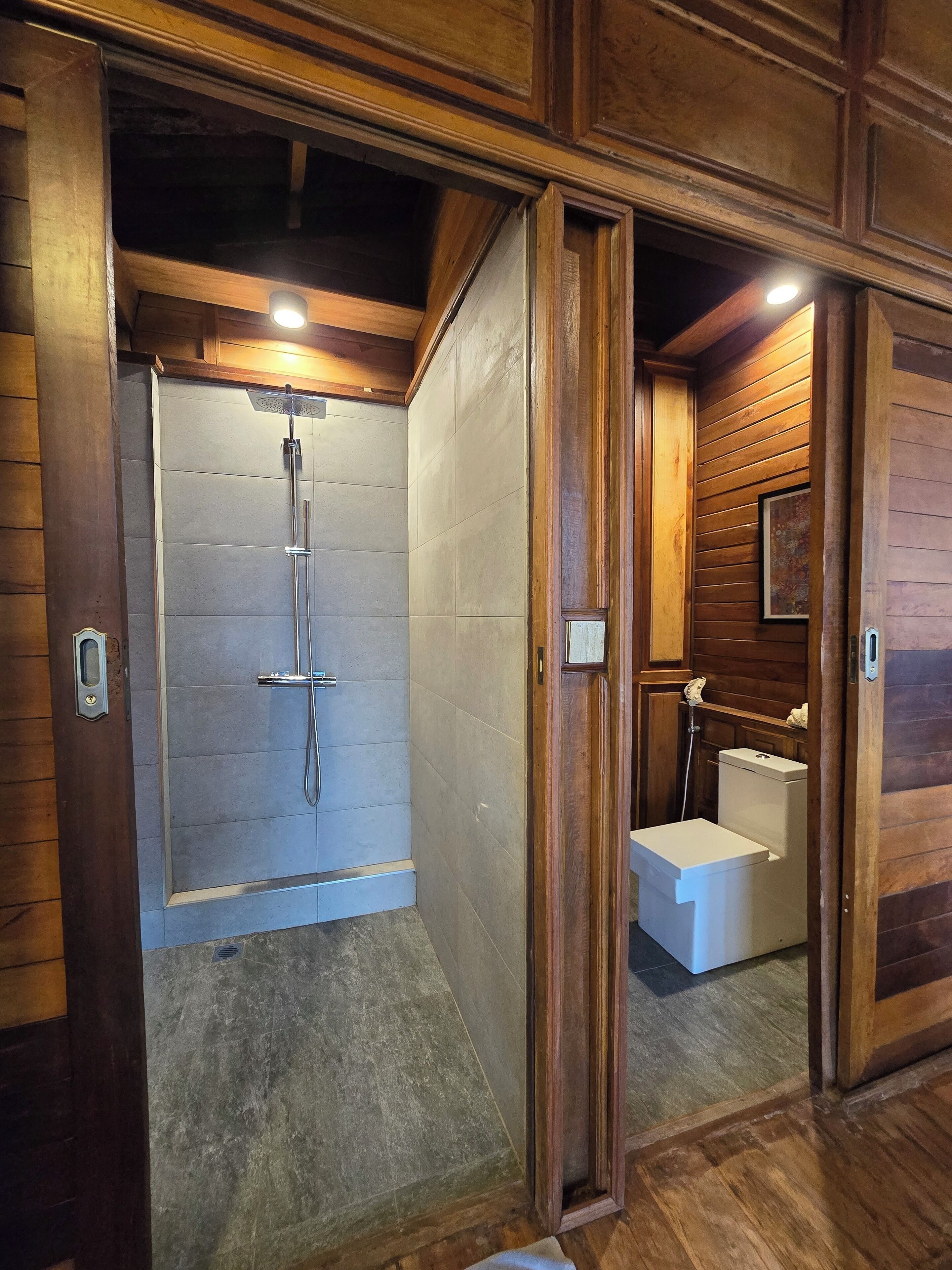A wooden interior with a shower area, a toilet, and a wooden door.