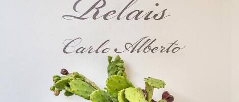 Fachada del alojamiento