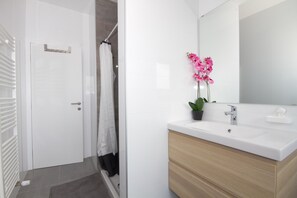 Ducha, secador de pelo y toallas