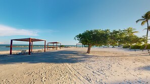 Una playa con una pérgola de madera, un árbol y una vista despejada del mar.