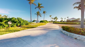 Een geplaveid pad, omzoomd met weelderige begroeiing en palmbomen, loopt naar een strand.