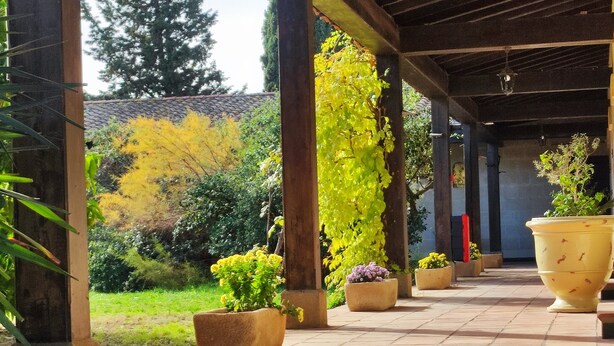 Un espacio al aire libre techado con plantas en macetas y suelo de baldosas.