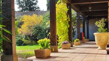 Chambre Standard | Terrasse/Patio