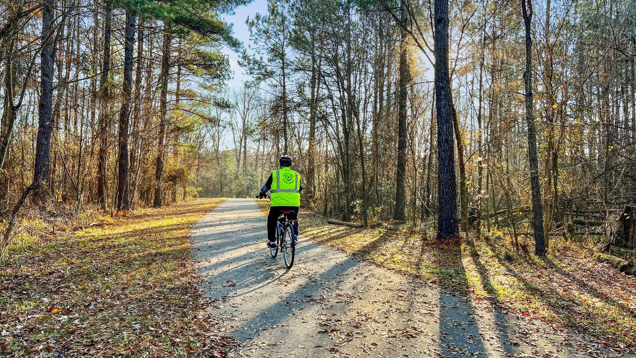 A person riding a bicycle on a forested dirt road.
