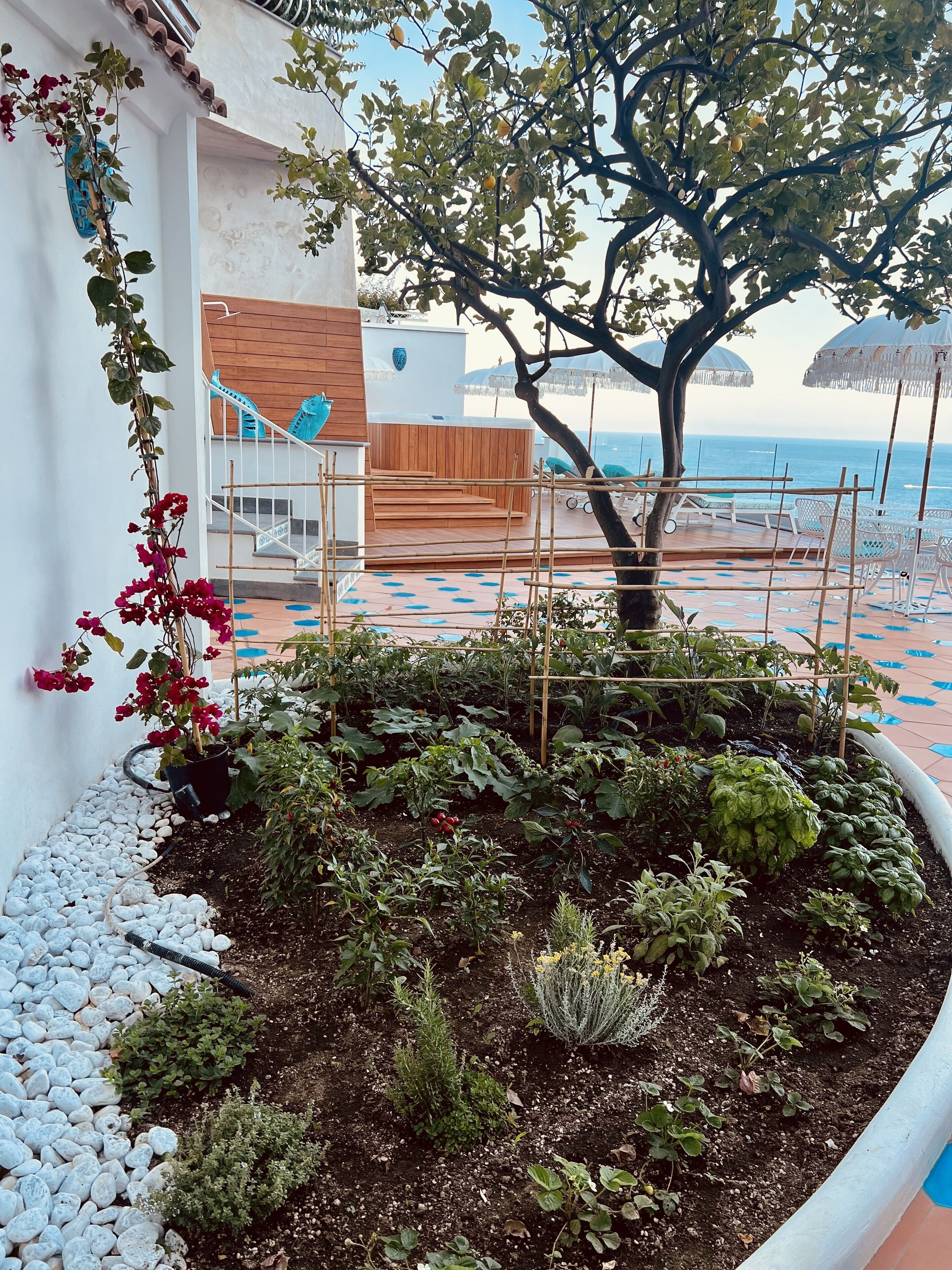 Un jardín con diversas plantas y un árbol, una terraza de madera con escalones, y vista al mar.