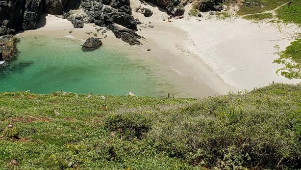 Eine Küstenlandschaft mit Strand, Felsen und freiem Blick auf den Ozean.