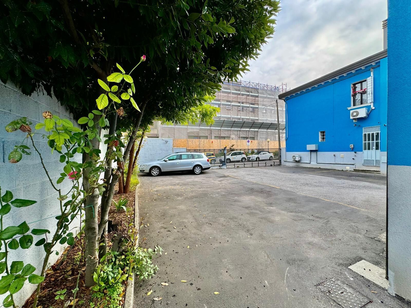 A parking lot with a blue building, a tree, and a car.