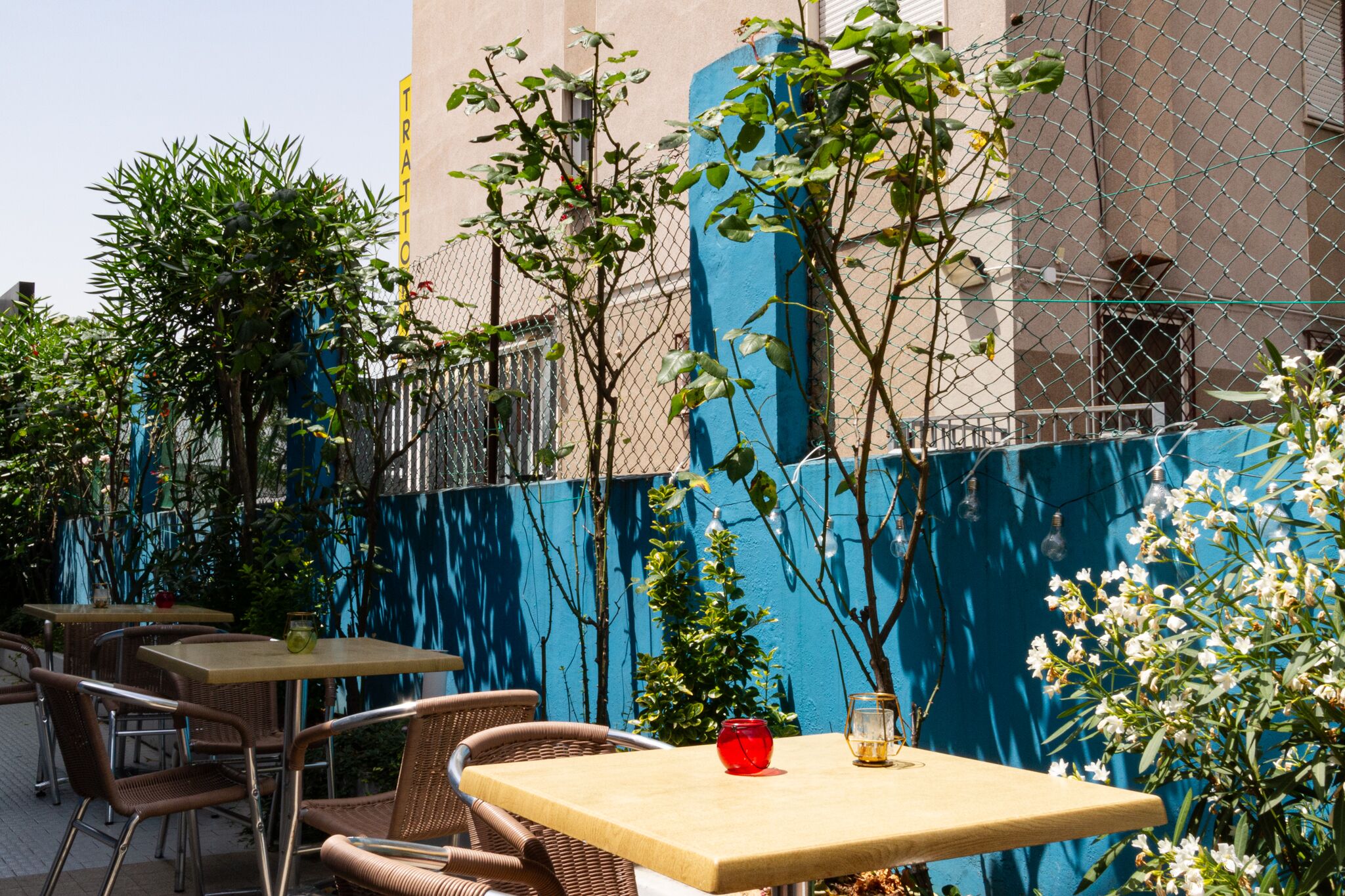 An outdoor cafe with tables and chairs, surrounded by a blue wall and greenery.