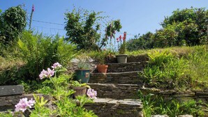 Een tuin met stenen trappen, planten in potten en bloeiende planten.
