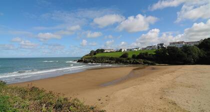Cnwc Y Boidy, Llangrannog