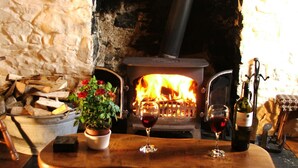 Une pièce chaleureuse avec un poêle à bois, une table avec des verres à vin et une plante en pot.