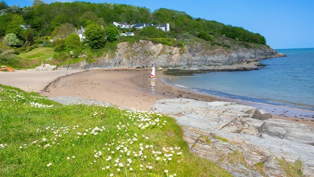 A coastal landscape with a sandy beach, grassy areas with white flowers, and a rocky shoreline. - Arwel, Aberporth - Three Bedroom Cottage, Sleeps 6 (Aberporth)