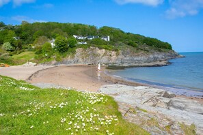 Paisagem costeira com uma praia arenosa, áreas gramadas com flores brancas e uma costa rochosa.