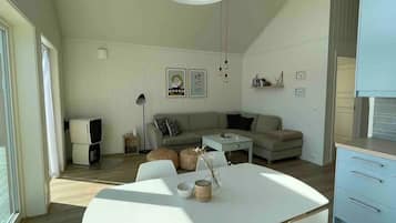 Smart-TV, Kamin