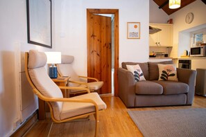 电视、DVD 播放器