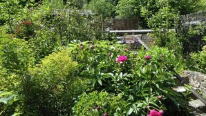 Un jardí amb plantes i flors diverses, una banca de fusta i una paret de pedra.