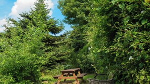 A picnic table and bench in a lush green forest setting. - Fedwen Uchaf, Tresaith (Tresaith)