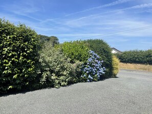 Terrain de l’hébergement 