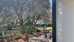 Un jardín con árboles y plantas, un área pavimentada y un edificio con fachada blanca.