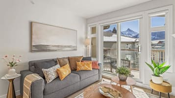 Smart TV, fireplace, books