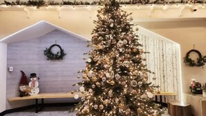 A Christmas tree decorated with ornaments and lights, a bench, and a snowman figure.