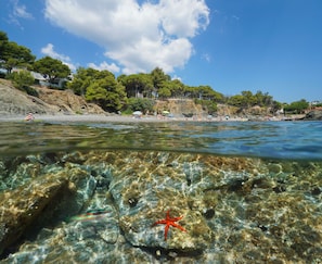 Plage à proximité