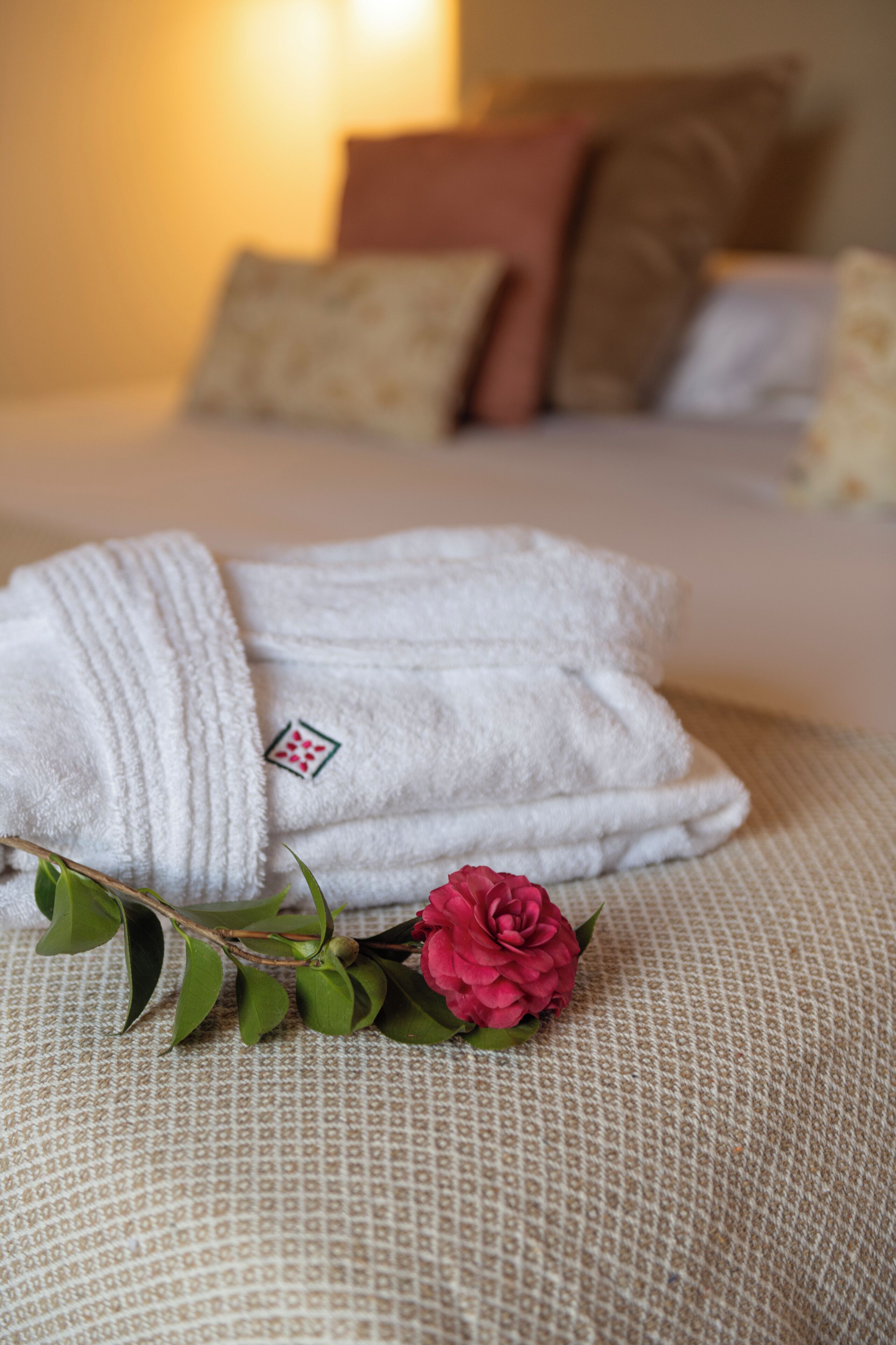 Photo - La Casa de La Camelia