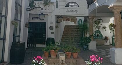 Village house in Benahavis close to all amenities