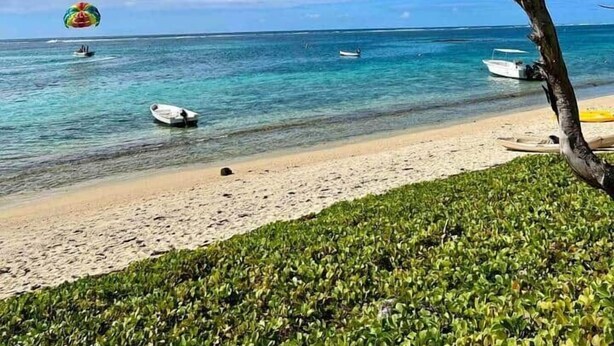 A beach with clear blue water, a sandy shore, and a tree in the foreground. - Exclusive beachfront penthouse (Belle Mare)