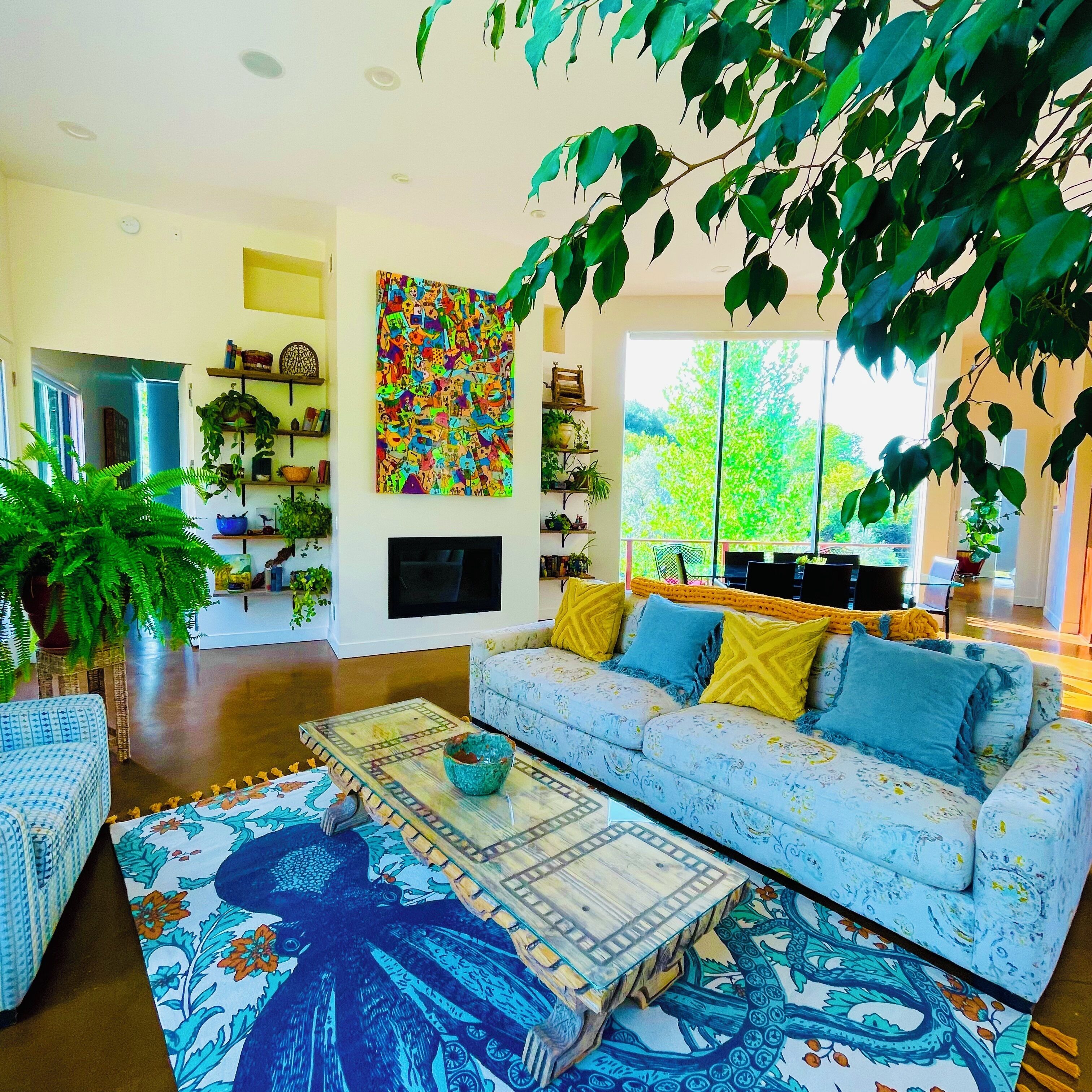 Smart TV, chimenea, libros y biblioteca musical 