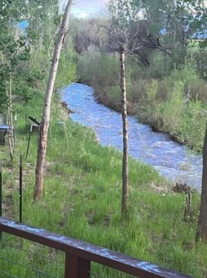 View from property