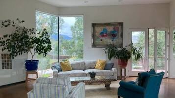 Smart TV, fireplace, books, music library