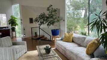 Smart TV, fireplace, books, music library