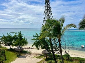 Une plage avec une eau turquoise et limpide, des palmiers et un parasol en feuilles de palmier.