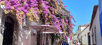 Casa Charlott, Gemütliche Ferienwohnung, Pataias