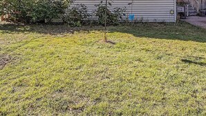 A two-story house with a gabled roof, large windows, and a well-maintained lawn. - Cozy 2 Bedroom with King Bed, 2 Full Bathrooms Conveniently located in the heart of Muskegon!!! (Muskegon)