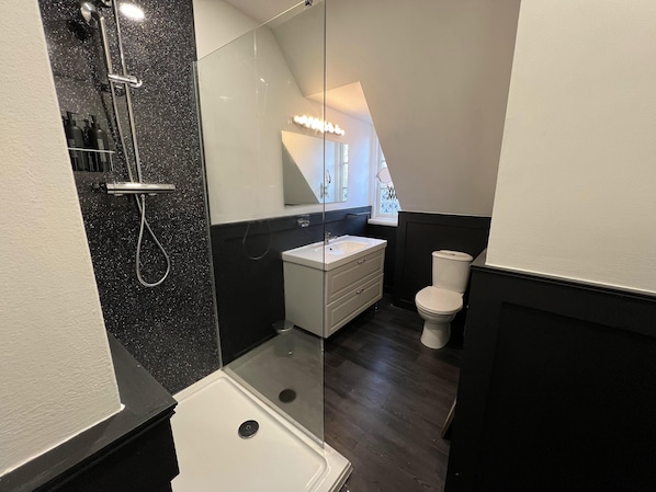 Apartment | Bathroom | Shower, towels, toilet paper