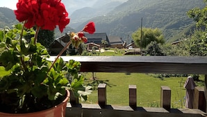 Une fleur rouge en pot, placée au premier plan, avec en arrière-plan une vue sur un village rural et des montagnes.