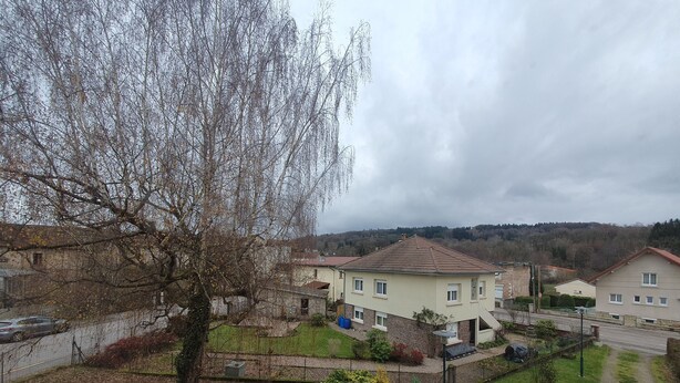 Un quartier résidentiel avec des maisons, un arbre et une pelouse.