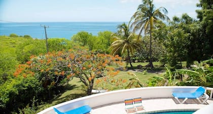 Amazing Villa Tropicasa