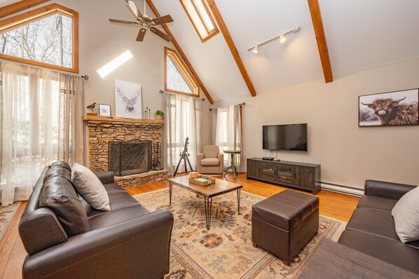 Smart TV, fireplace, video games, DVD player