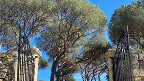 A gated entrance with stone pillars and metal gates, leading to a gravel path surrounded by tall trees. - L'orangerie, Gîte Écolodge Avec Piscine et Jacuzzi Privatif à Pézenas (Pézenas)
