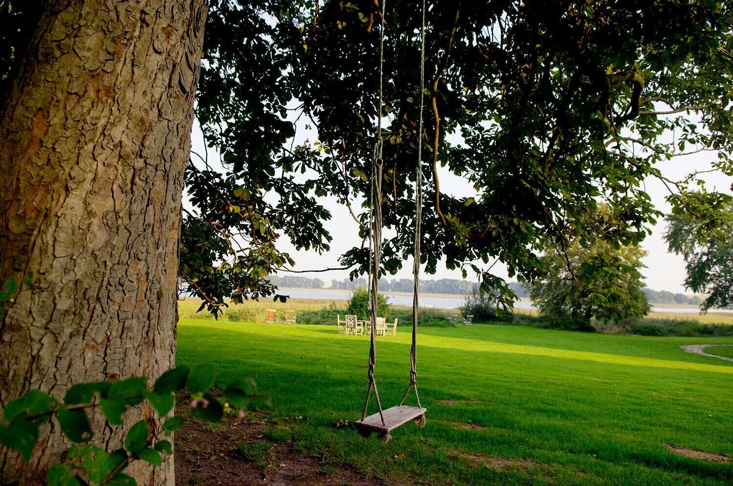 A swing set in a grassy area with a tree trunk and a view of a body of water in the background.