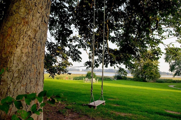 A swing set in a grassy area with a tree trunk and a view of a body of water in the background.